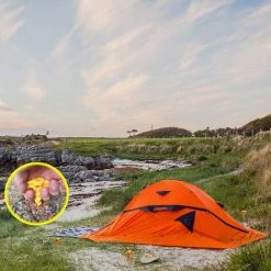 DKSFJKL Terrasse Et Revêtement De Sol Extérieur Piquets De Tente, Ancrage Au Sol En Spirale, Sur La Plage Et La Pelouse Pour Sécuriser Les Animaux, Tentes, Auvents Et Couvertures De Plage, Etc., Paquet De 10 Pièces En Plastique -Pergola Soldes 42740551 3