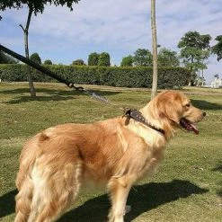 ECHOO 5pcs Tendeur De Ressort En Acier Inoxydable, Haute Résistance Camping Auvent Tente Corde Pour La Randonnée Camping Pêche Pique-Nique Voyager 10 ECHOO 5pcs Tendeur De Ressort En Acier Inoxydable, Haute Résistance Camping Auvent Tente Corde Pour La Randonnée Camping Pêche Pique-Nique Voyager -Pergola Soldes 46957127 4