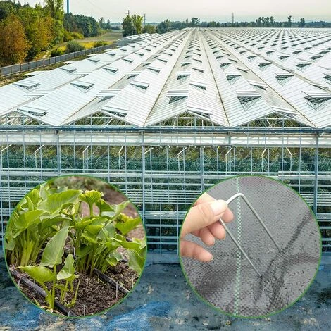 DECKON 50pcs Clous De Jardin, Clous De Jardin Avec 50 Rondelles Clous De Tente Longueur 150MM Largeur 40MM Pour Fixer Le Tissu De Mauvaises Herbes, Tissu De Mauvaises Herbes 6 DECKON 50pcs Clous De Jardin, Clous De Jardin Avec 50 Rondelles Clous De Tente Longueur 150MM Largeur 40MM Pour Fixer Le Tissu De Mauvaises Herbes, Tissu De Mauvaises Herbes – Image 4