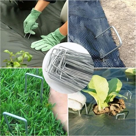 READCLY Lot De 60 Piquets De Fixation, Piquet Jardin De Fixation Galvanisés, Pour L'Aménagement Paysager, Couvre-Sol (2,5×40×150 Mm) 7 READCLY Lot De 60 Piquets De Fixation, Piquet Jardin De Fixation Galvanisés, Pour L'Aménagement Paysager, Couvre-Sol (2,5×40×150 Mm) – Image 5