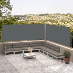 VidaXL Auvent Latéral Rétractable Anthracite 117x600 Cm - Anthracite
