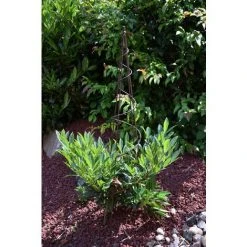 Louis Moulin Tipis Spirale Fer Vieilli - 20x100 Cm - Acier époxy -Pergola Soldes 61063915 3