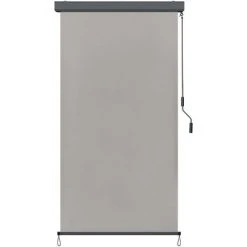 Froadp Auvent Vertical, Store Enrouleur Occultant Avec Manivelle, Auvent De Confidentialité, Crème Solaire Résistante Aux UV, Adapté Pour L'intérieur Et L'extérieur, 250x140cm, (Gris Clair)