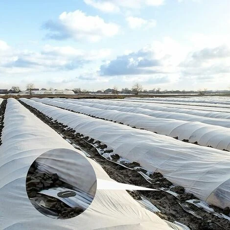 QERSTA 40 Pcs Piquets De Jardin, Sardine Bache Avec 40 Rondelles, Piquets De Fixation Pour Bàche Toile Paillage, Tissu De Mauvaises Herbes, Feuilles De Sol Tente 15*4cm 6 QERSTA 40 Pcs Piquets De Jardin, Sardine Bache Avec 40 Rondelles, Piquets De Fixation Pour Bàche Toile Paillage, Tissu De Mauvaises Herbes, Feuilles De Sol Tente 15*4cm – Image 4