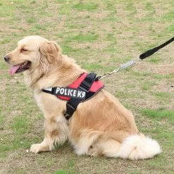 ENLENK Tente Ressort Boucle 8 Pièces Tendeur Ressort En Acier Inoxydable Haute Résistance Ressort Boucle Corde Tente Pour Le Camping En Plein Air Randonnée Voyage Pique Nique Tente De Plage Auvent. -Pergola Soldes 67677736 5