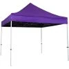 INTEROUGE Tente Pliante Pergola Tente De Jardin Tonnelle 3x3 M Acier 32mm - Bâche 300g/m² Violet - Violet 2 INTEROUGE Tente Pliante Pergola Tente De Jardin Tonnelle 3x3 M Acier 32mm - Bâche 300g/m² Violet - Violet -Pergola Soldes 7851389 1